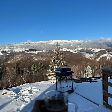 Cabanuta Din Munti Hotel Alsómoécs Kültér fotó
