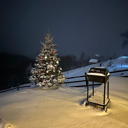 Cabanuta Din Munti Hotel Alsómoécs Kültér fotó