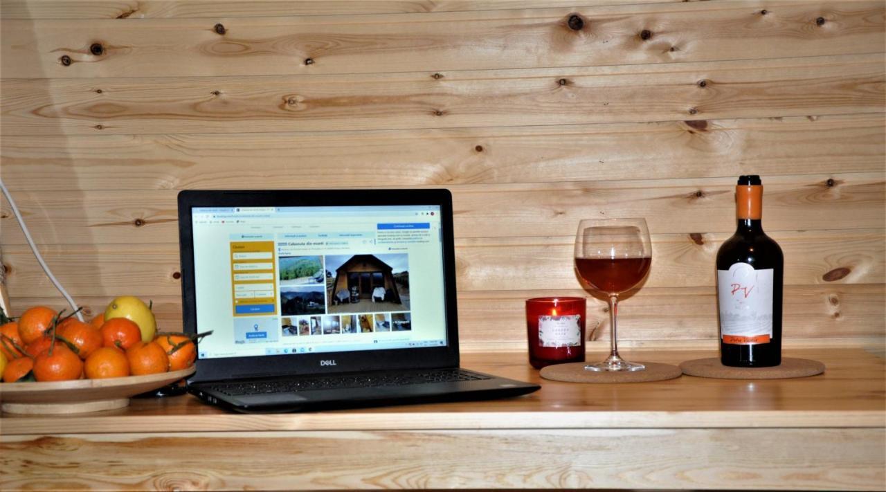 Cabanuta Din Munti Hotel Alsómoécs Kültér fotó