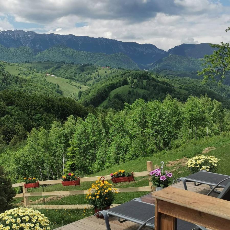 Cabanuta Din Munti Hotel Alsómoécs Kültér fotó