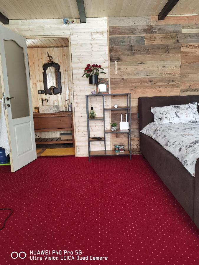 Cabanuta Din Munti Hotel Alsómoécs Kültér fotó