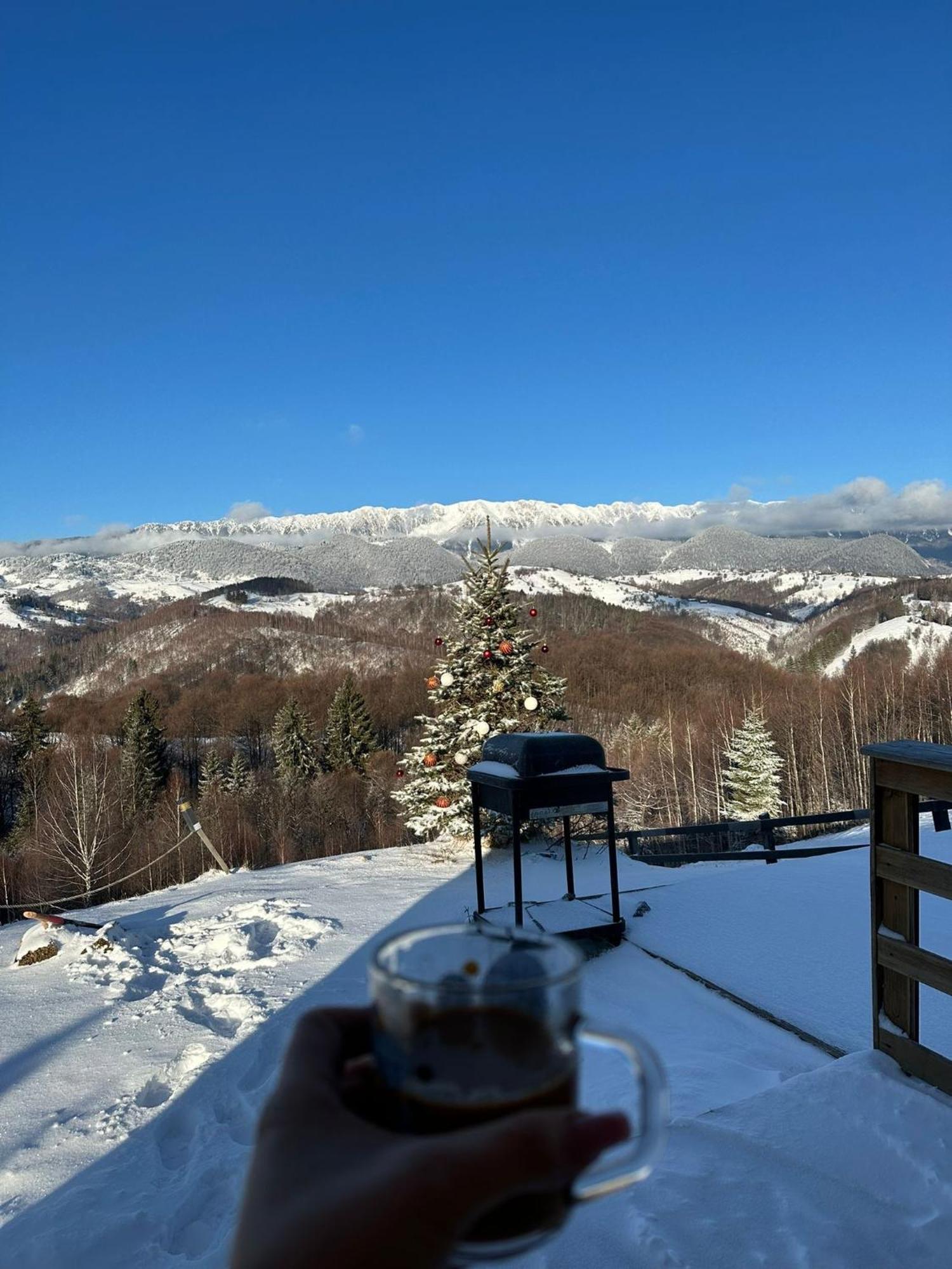 Cabanuta Din Munti Hotel Alsómoécs Kültér fotó